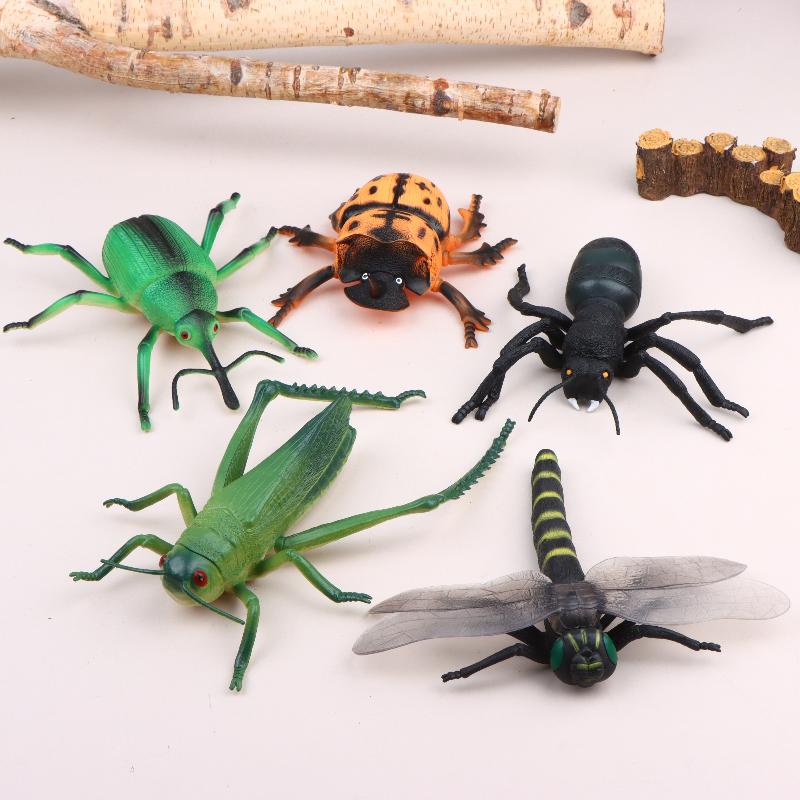 Science Toys - Modèle d'insecte réaliste de 17CM, jouet