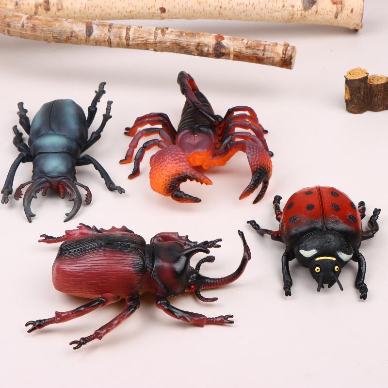 Modèle d'insecte réaliste de 1 - Science Toys avis et prix