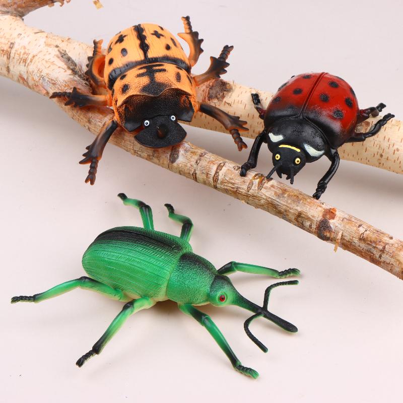 Modèle d'insecte réaliste de 1 - Science Toys avis et prix