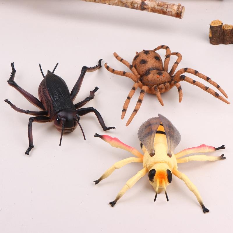 Modèle d'insecte réaliste de 1 - Science Toys avis et prix
